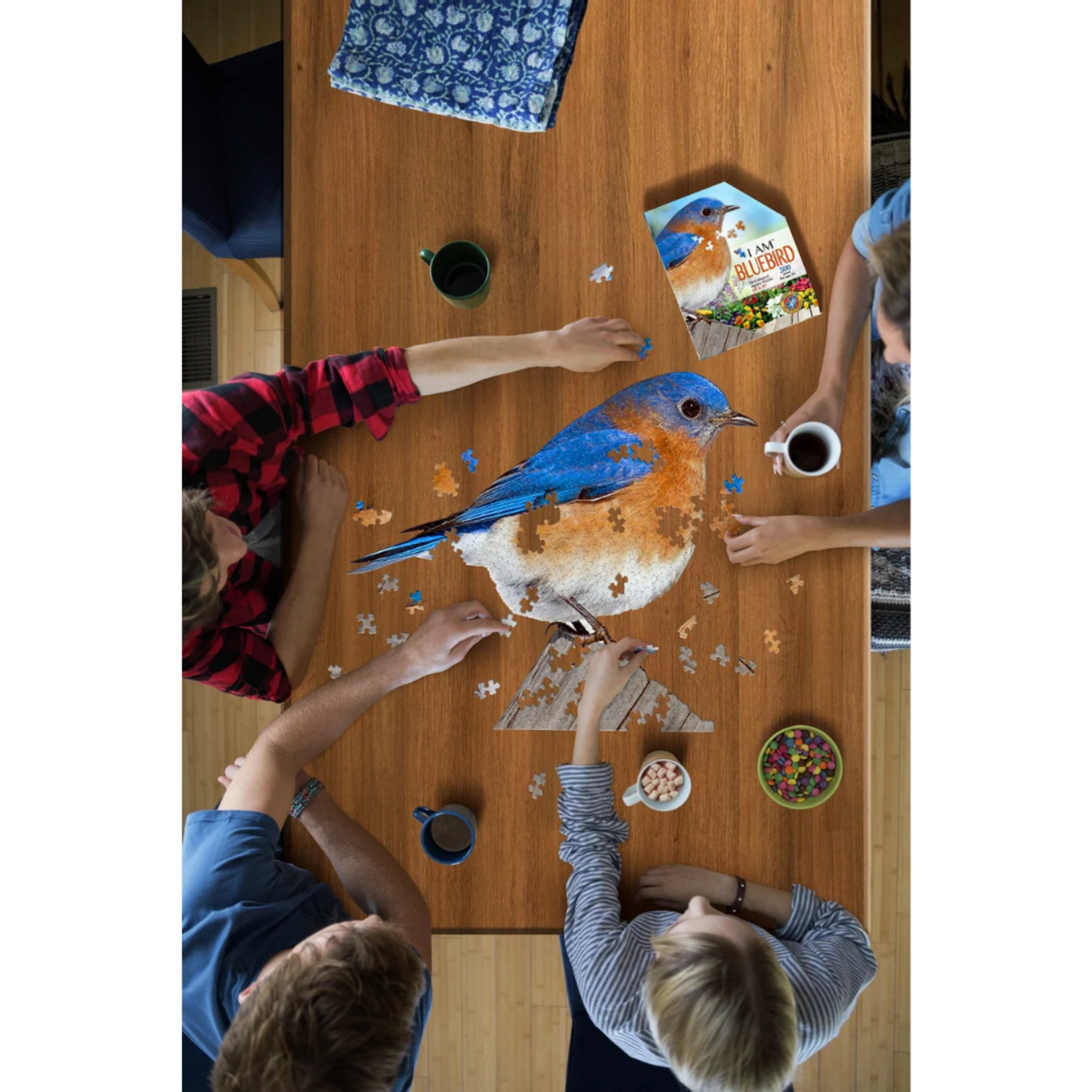 Puzzle (300 PC)