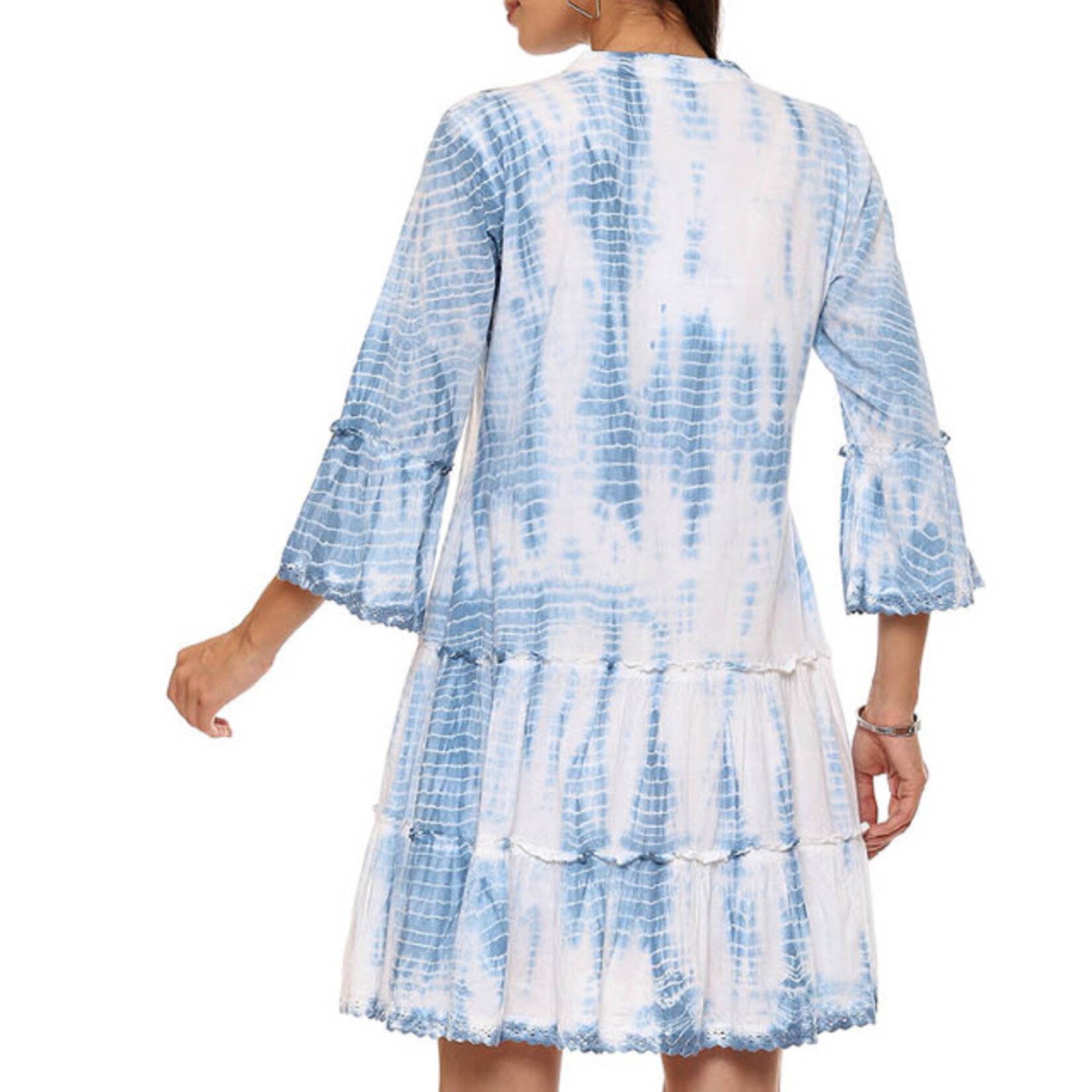 Parsley and Sage Cotton Blue & White Flounce Sleeve Presley Dress