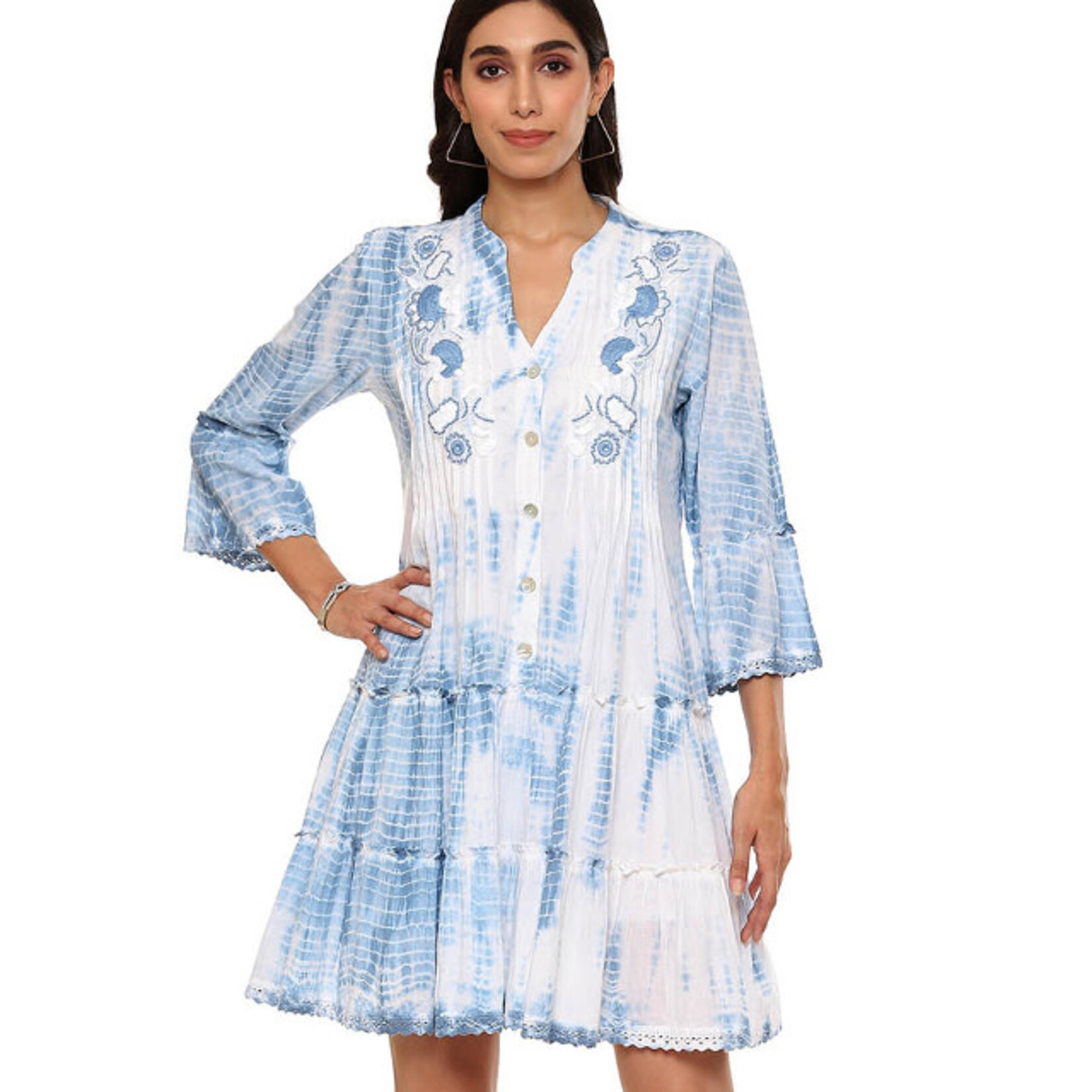 Parsley and Sage Cotton Blue & White Flounce Sleeve Presley Dress