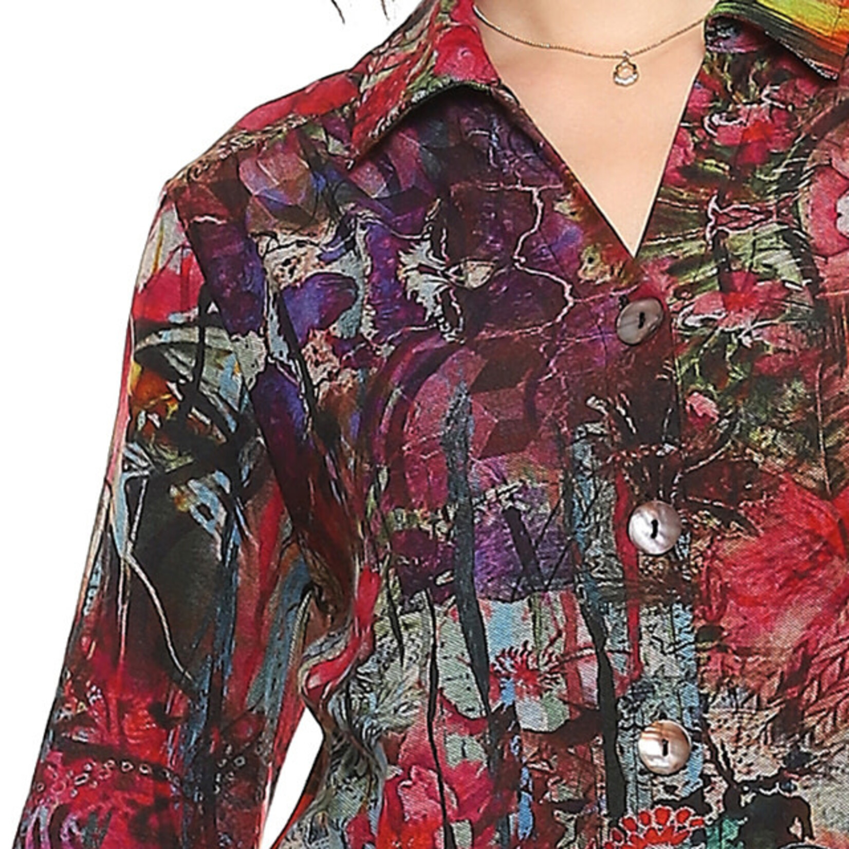 Parsley and Sage Multi Colored Button Down Long Sleeve Miriam Shirt
