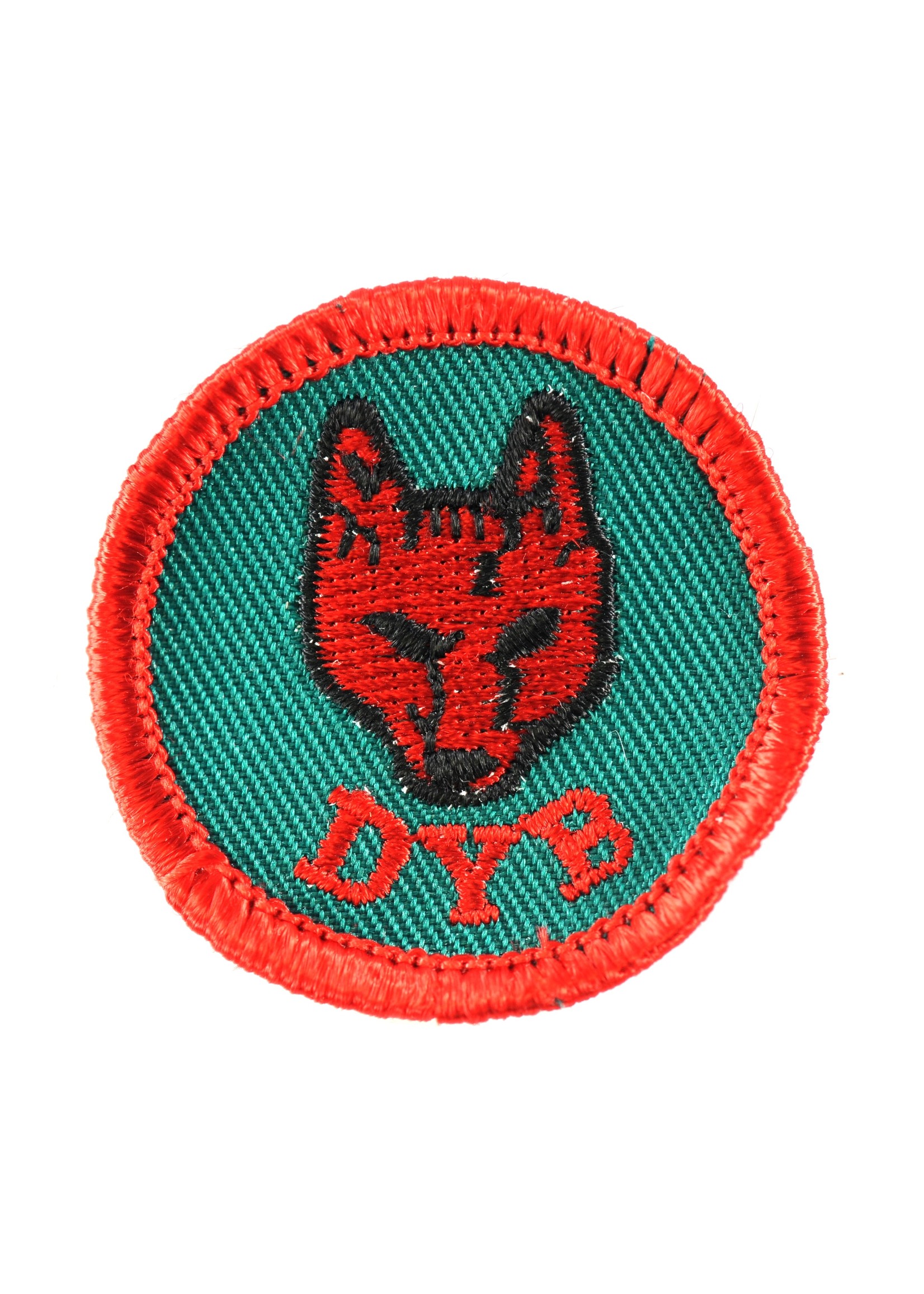 Cub DYB Badge