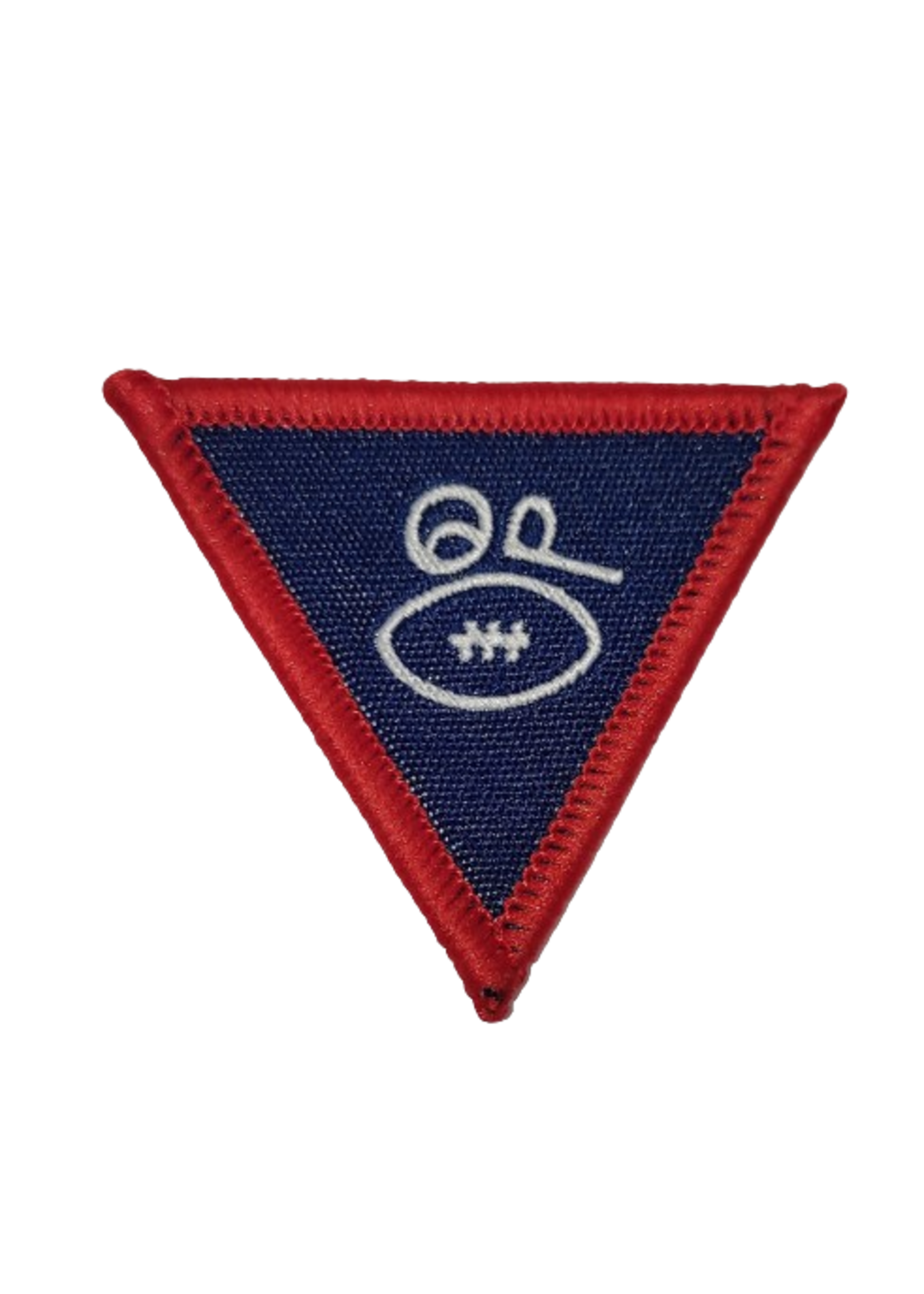 SIA Rover Badge