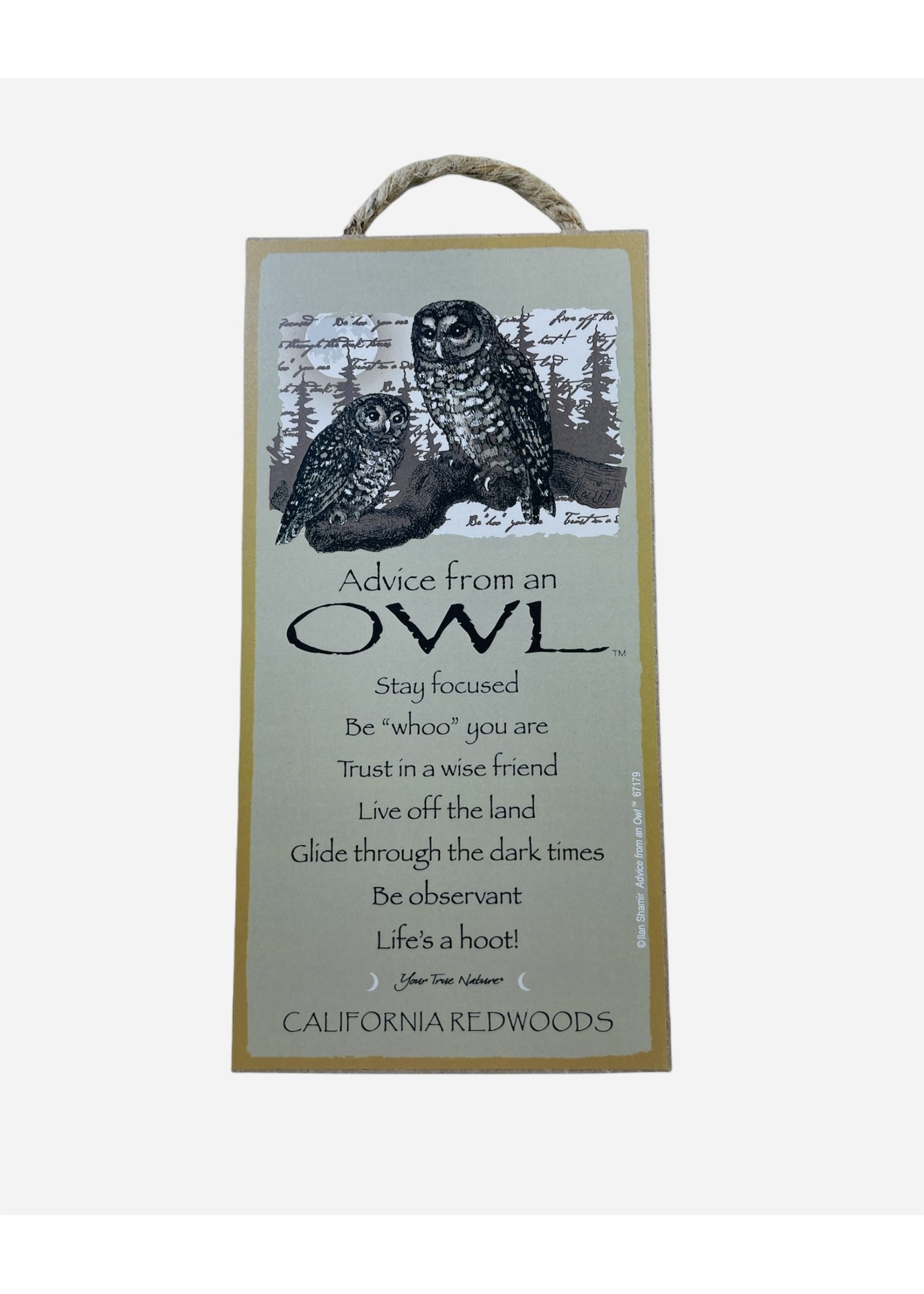 Advice Sign (Owl)