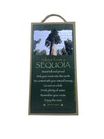 Advice Sign (Sequoia)