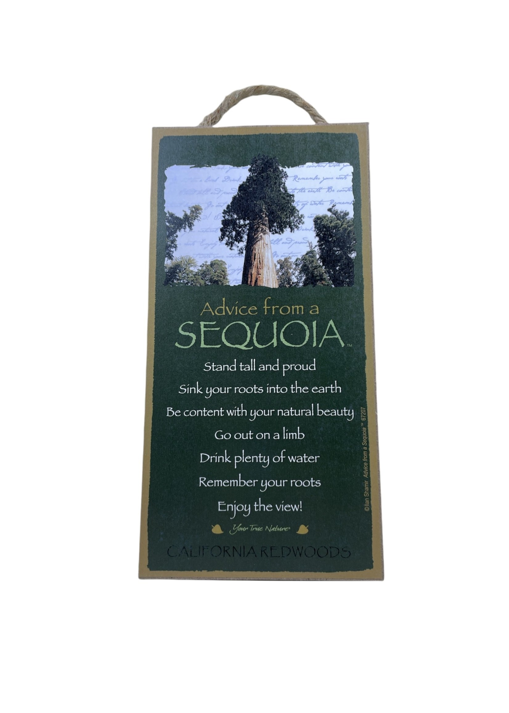 Advice Sign (Sequoia)