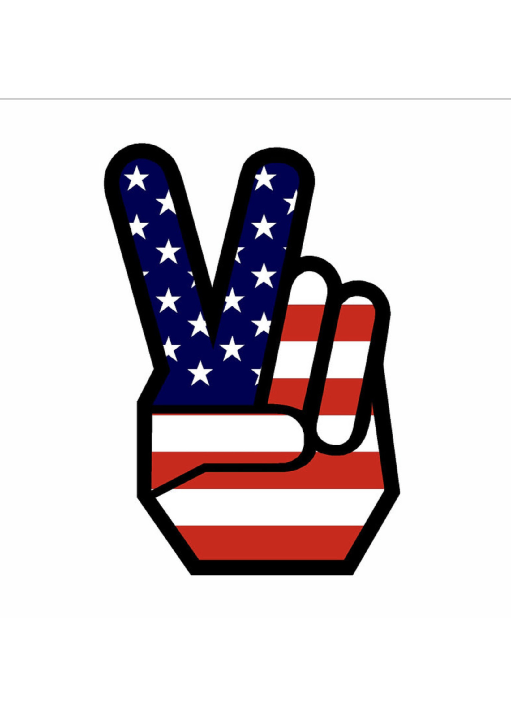 Small Sticker (Peace USA)