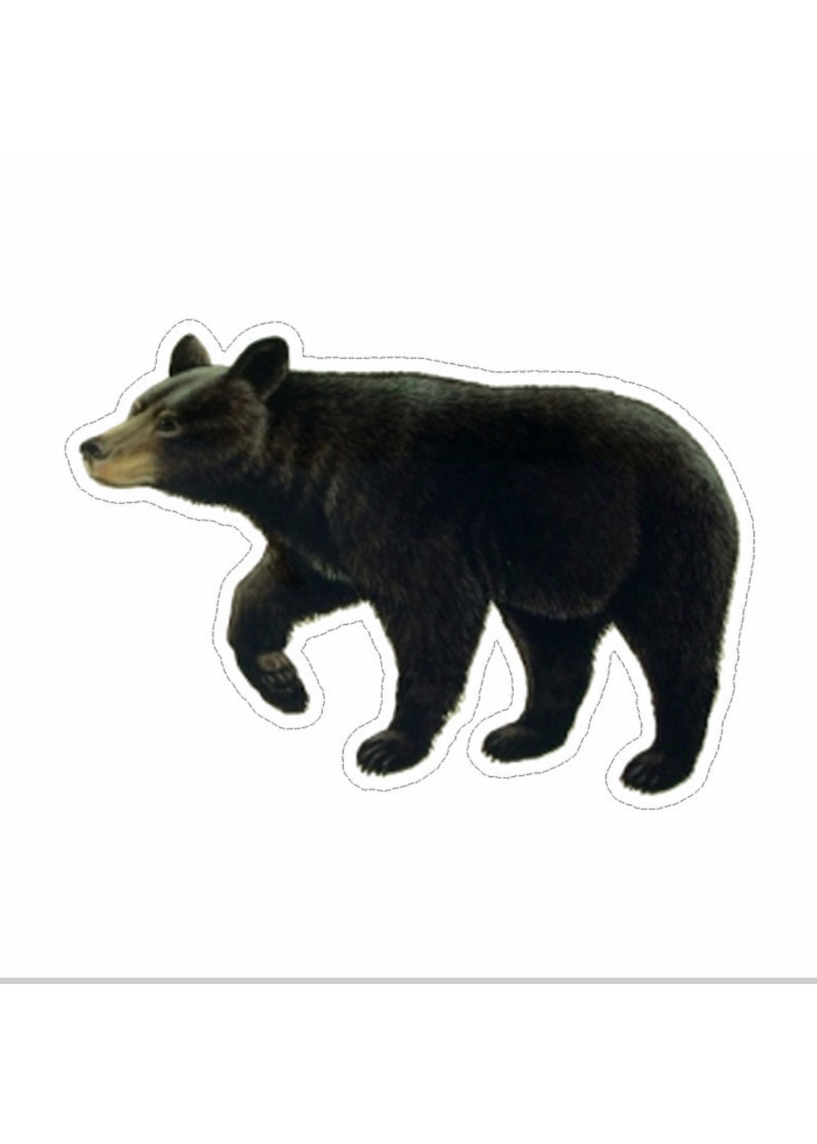 Small Sticker (Black Bear)