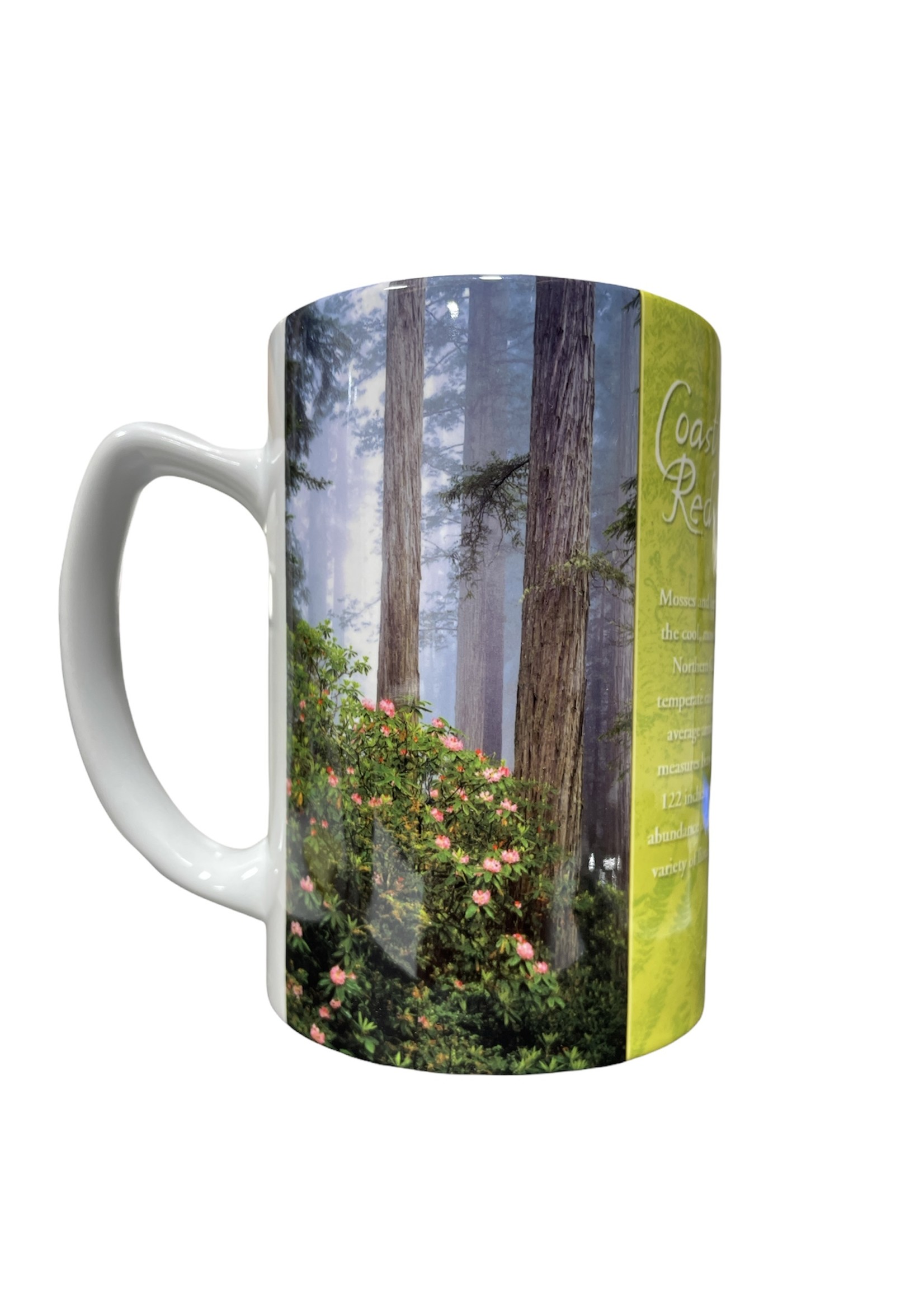 Mug (Johnson Grove)