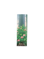 Magnet (Tall Rhododendrons)