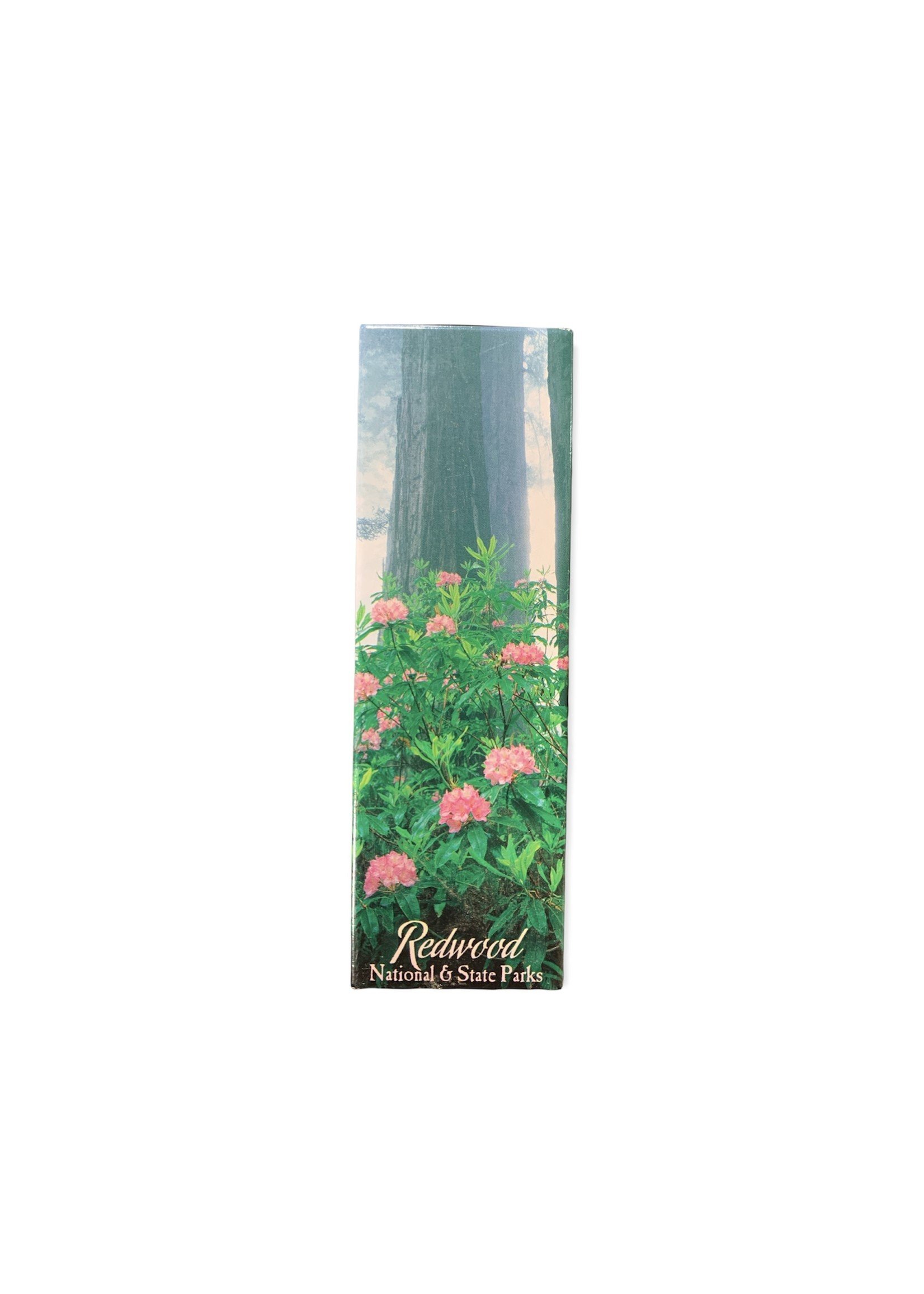 Magnet (Tall Rhododendrons)