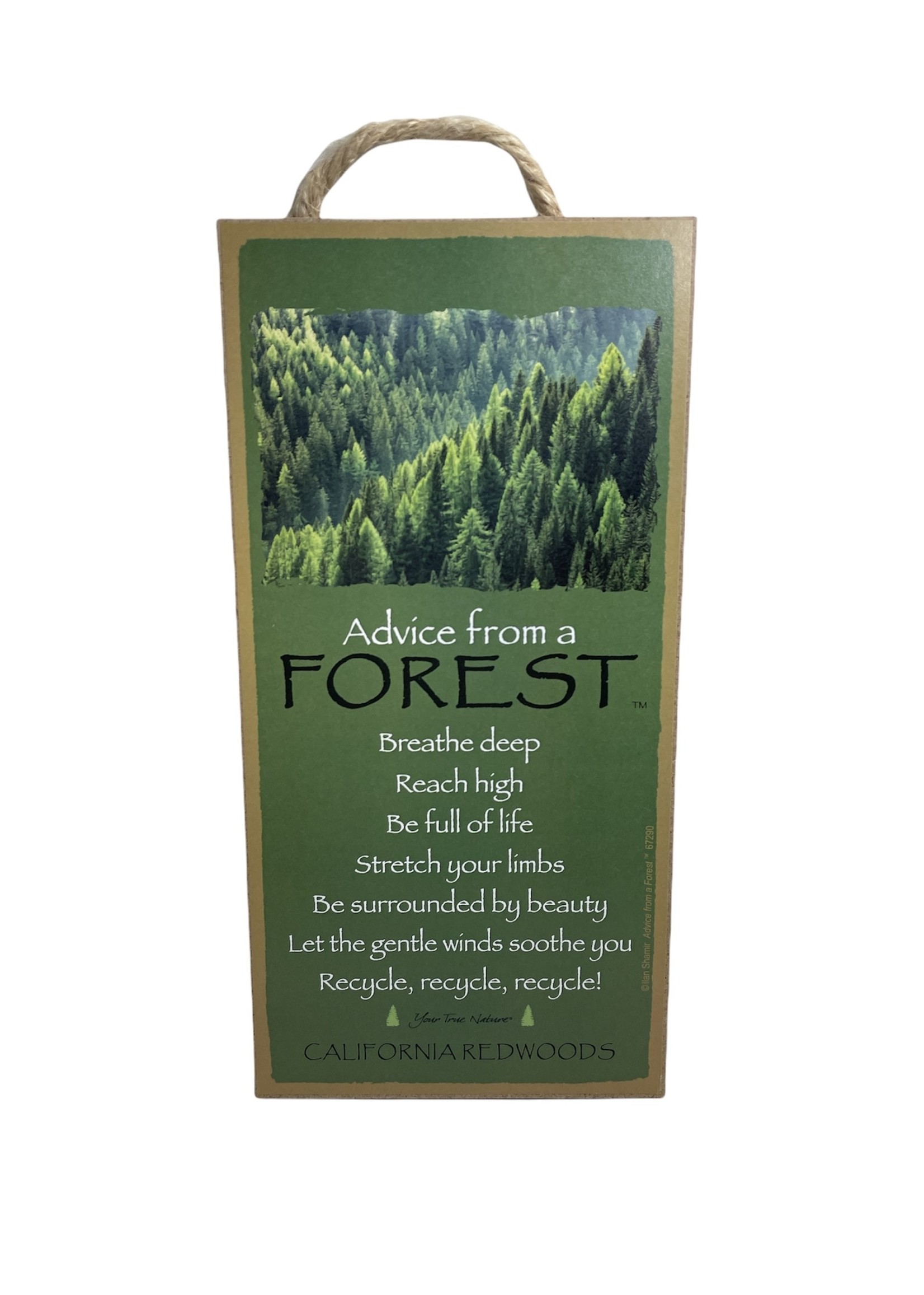 Advice Sign (Forest)