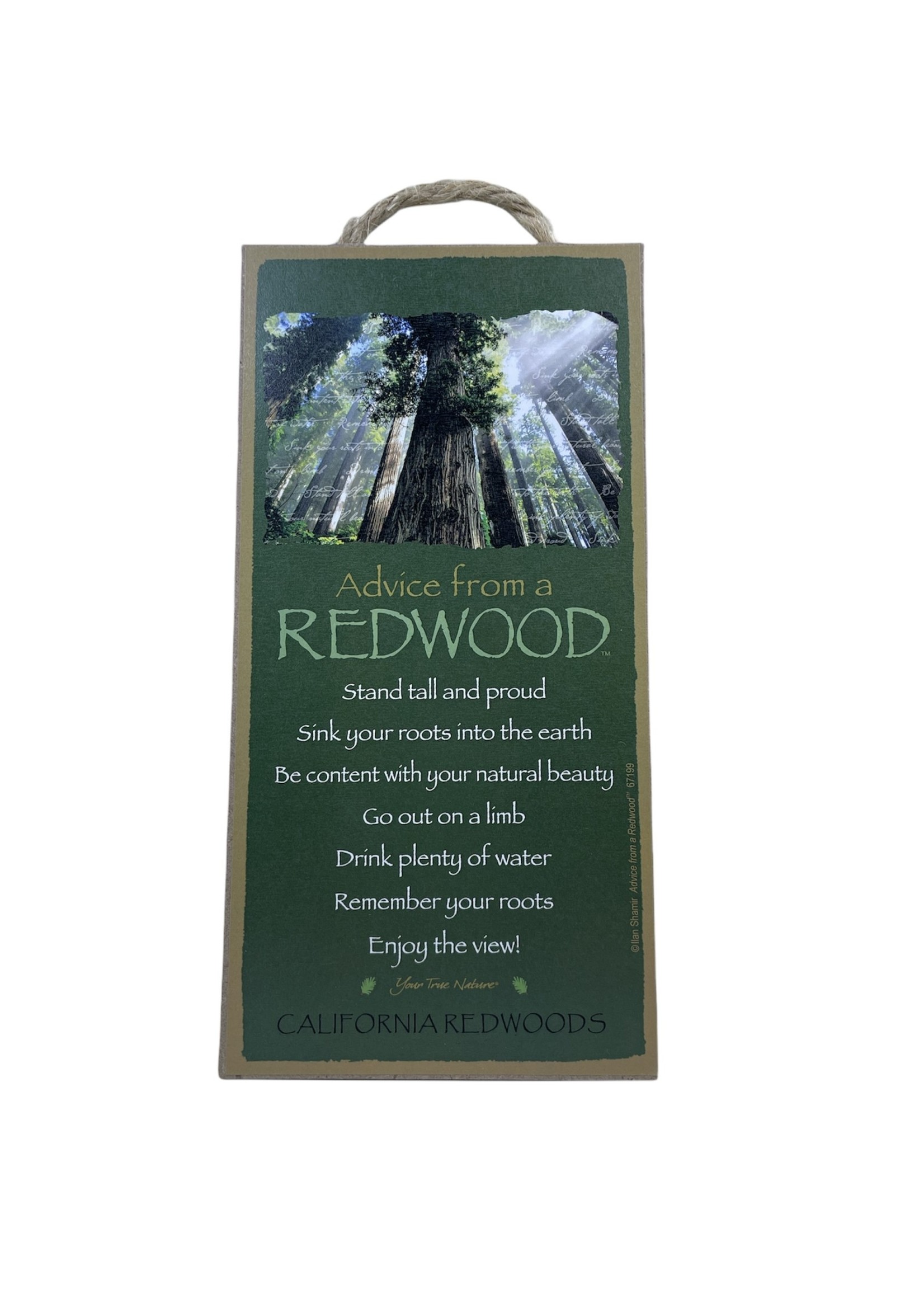 Advice Sign (Redwood)