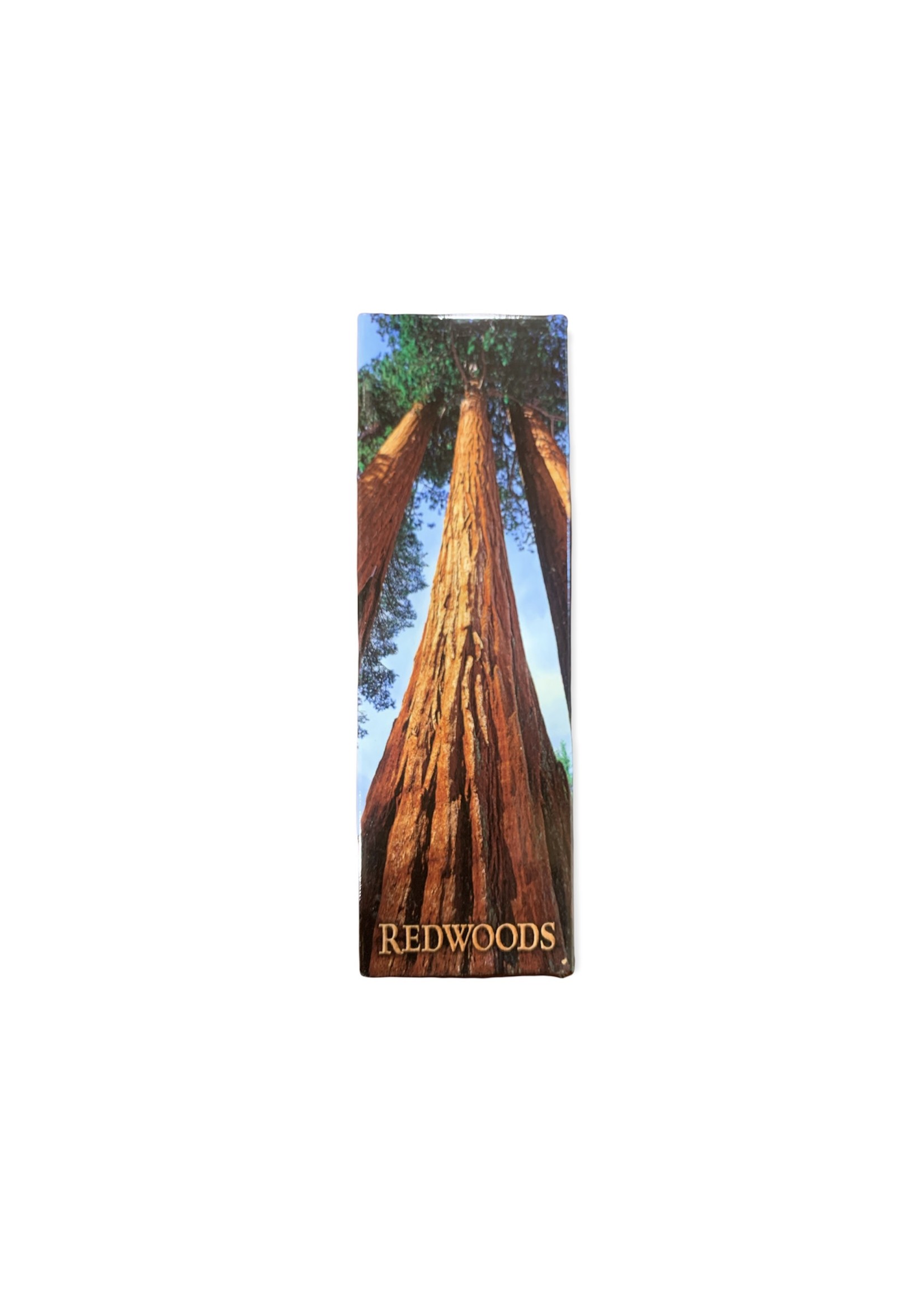 Magnet (Towering Redwoods Panoramic)