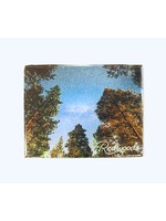 Magnet (Redwoods Starry Night)