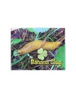 Magnet (Forest Banana Slug)