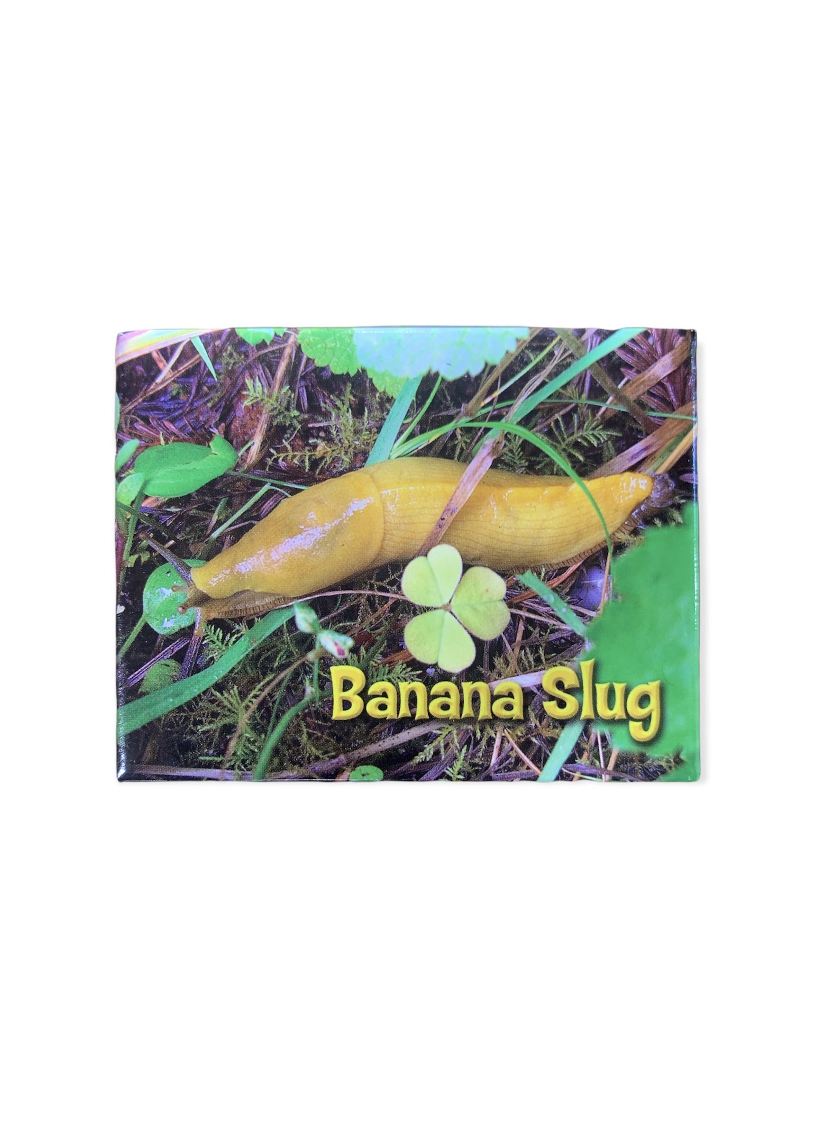 Magnet (Forest Banana Slug Badge)