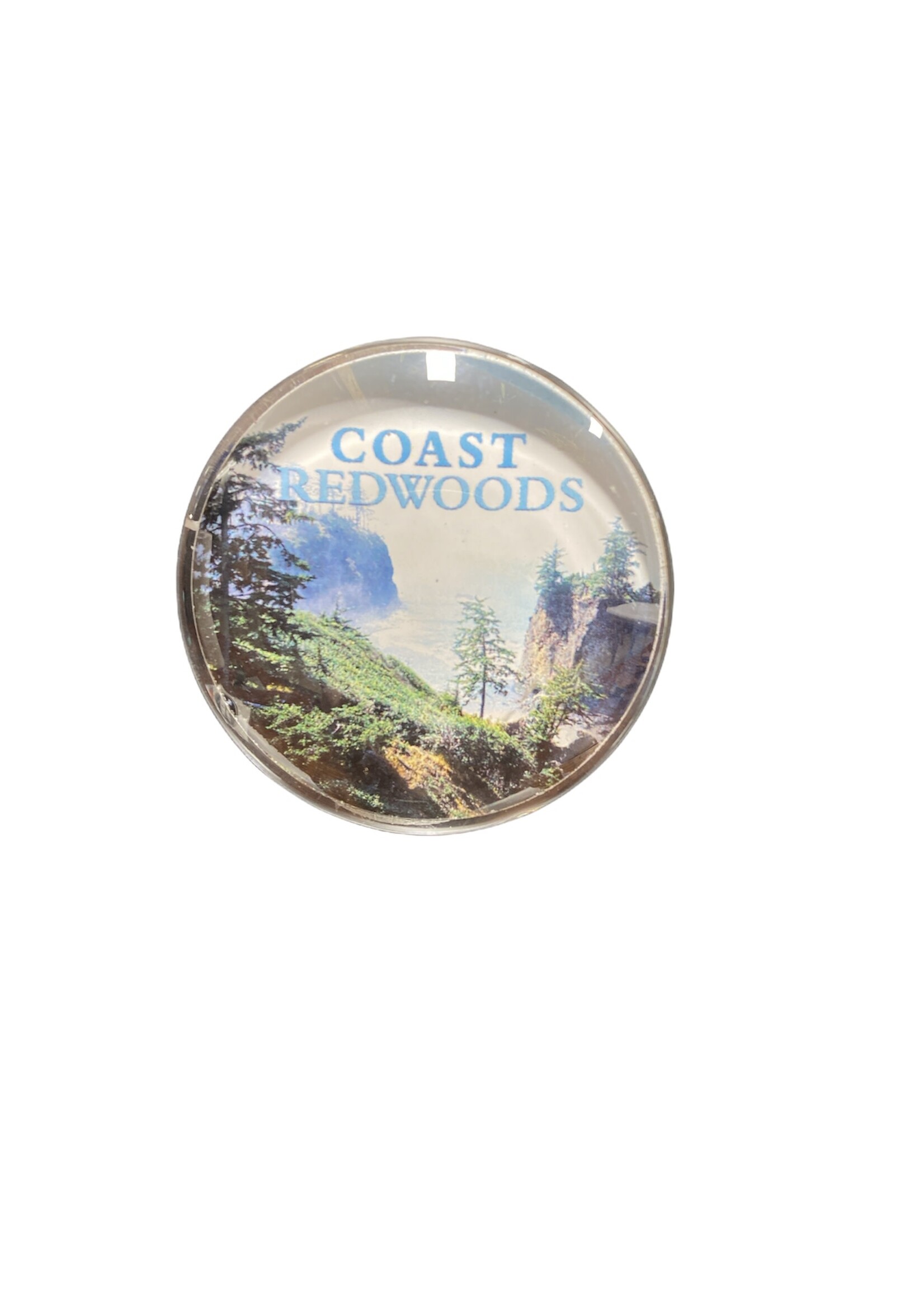 Magnet (Coast Redwoods Round Glass)