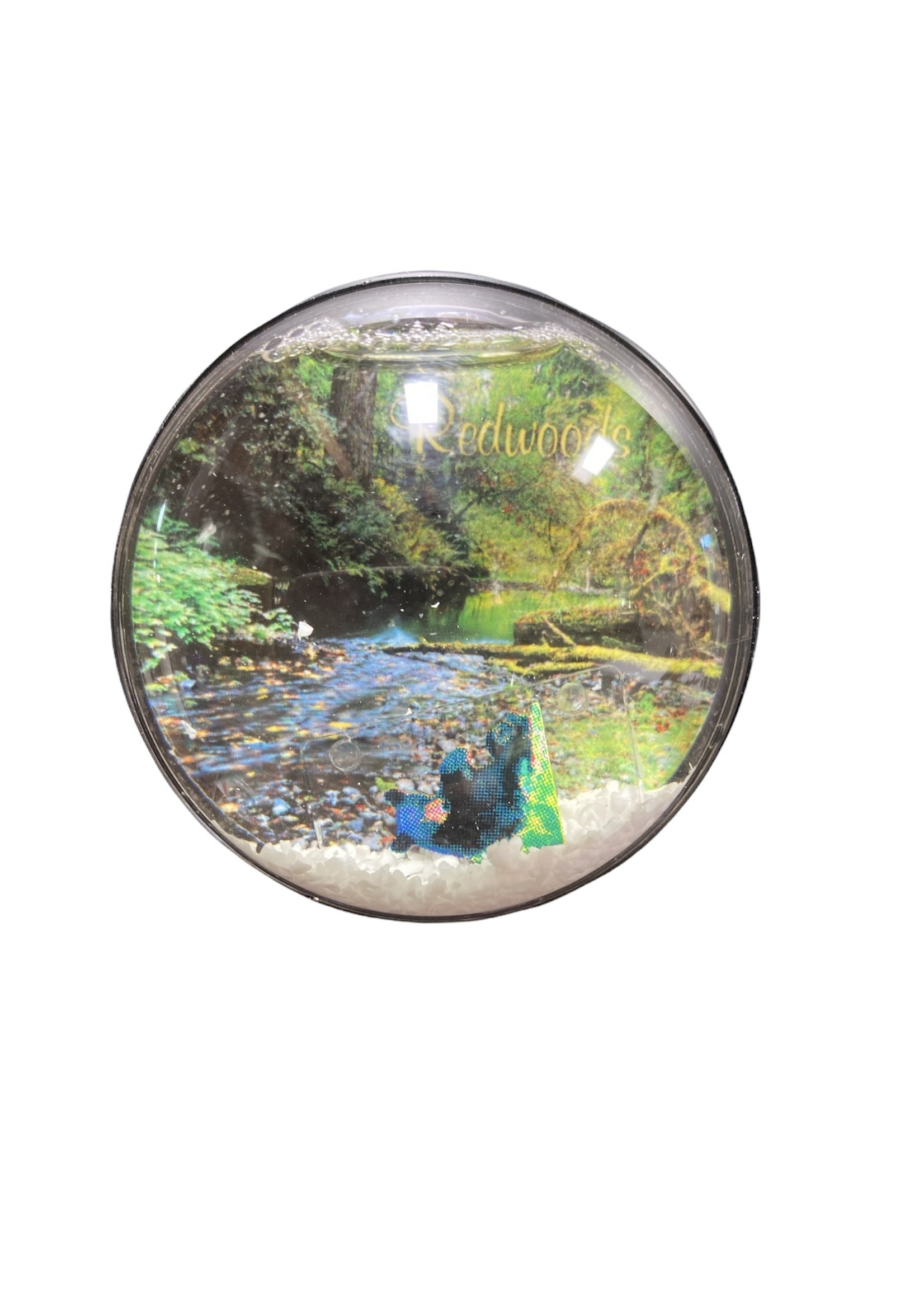 Magnet (Redwood Snow Globe)