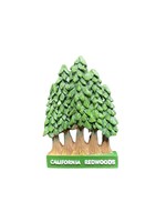 CA Redwood Trees Poly Magnet