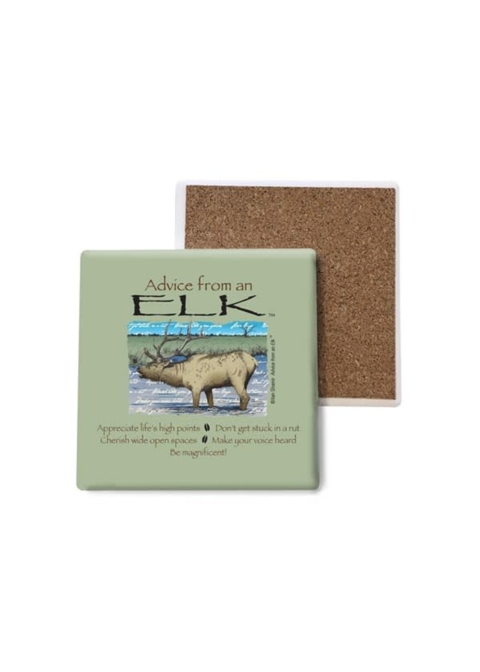 Coaster (Advice from Elk)
