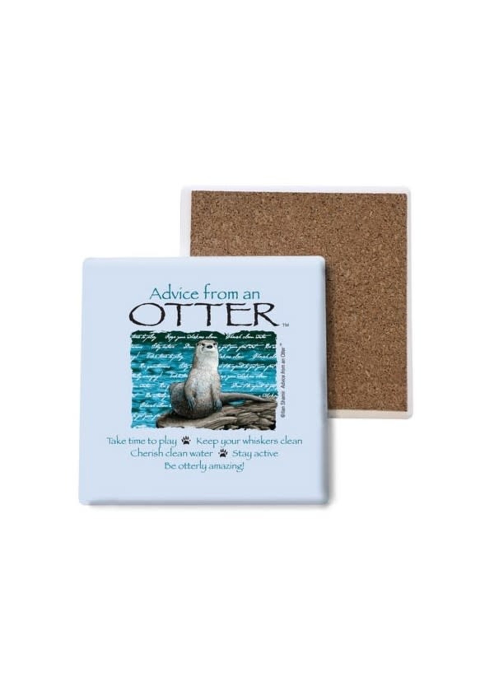 Coaster (Advice from Otter)