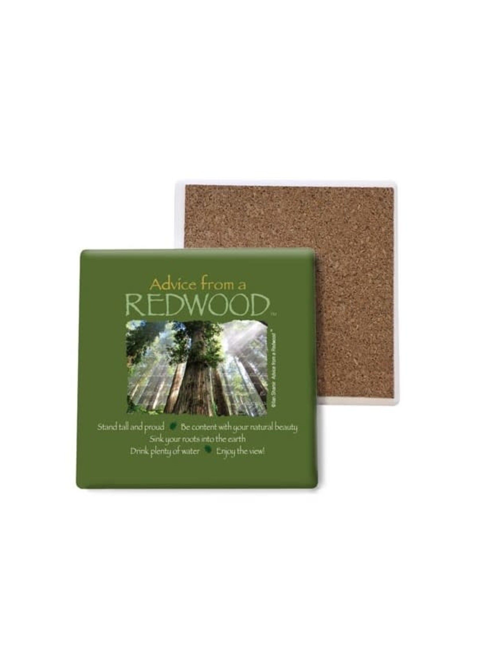 Coaster (Advice from Redwood)