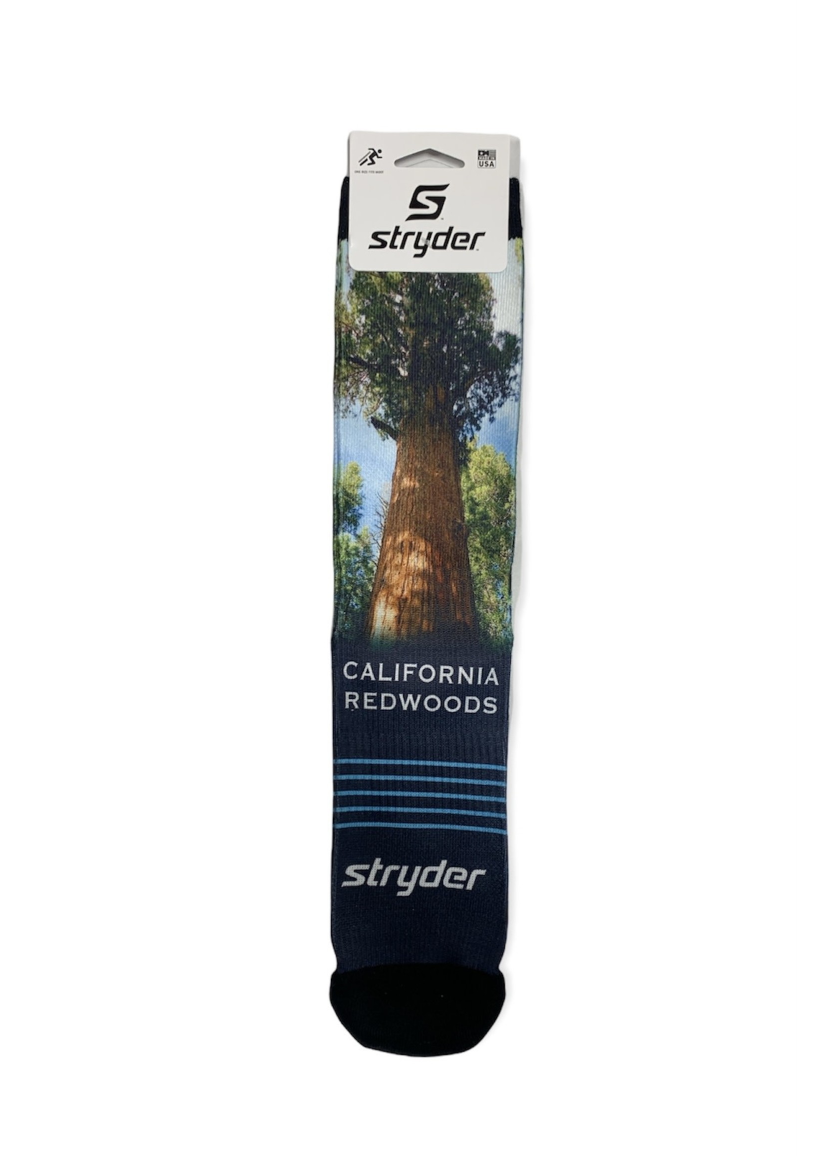 Socks (Sequoia National Park)