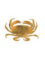 Magnet (Dungeness Crab)