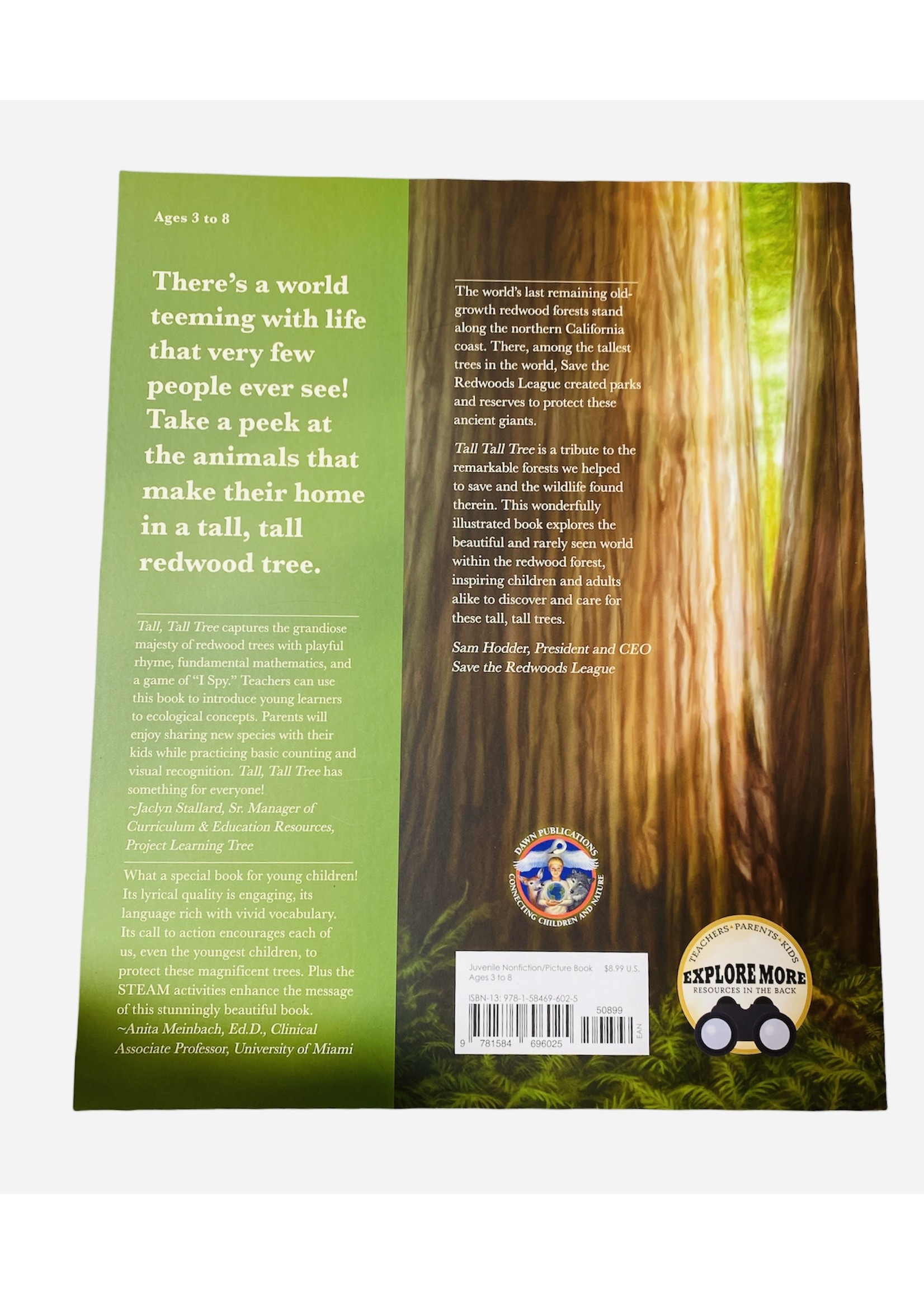 Books (Tall Tall Tree)