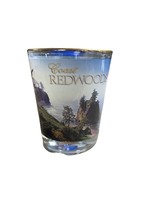 Shot (Coast Redwoods)