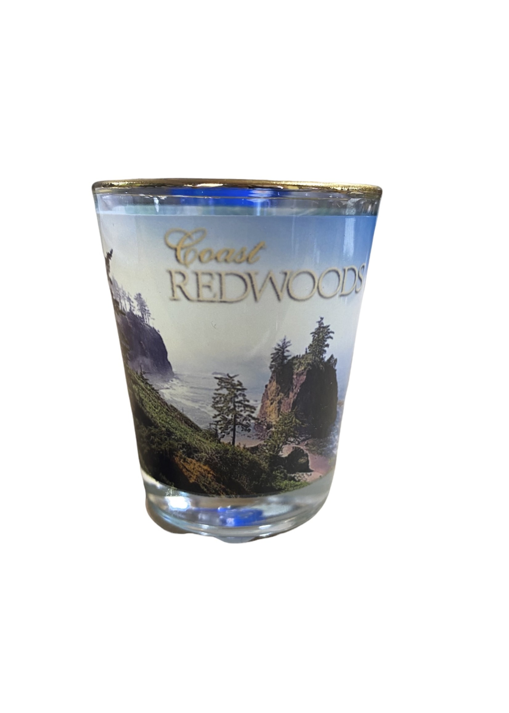 Shot (Coast Redwoods)