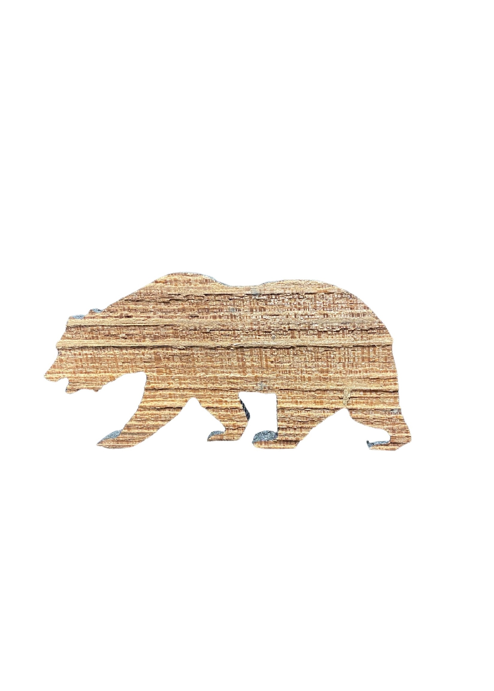 Grandfather Tree Magnet (Old-Growth Bear - Lg)
