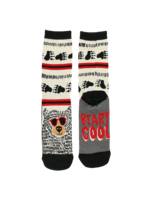 LazyOne Socks (Beary Cool, 5-10)