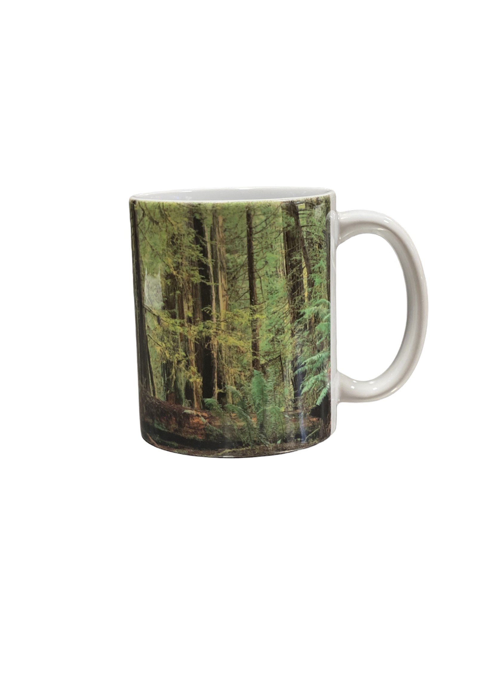 Mug (Coast Redwood Grove)