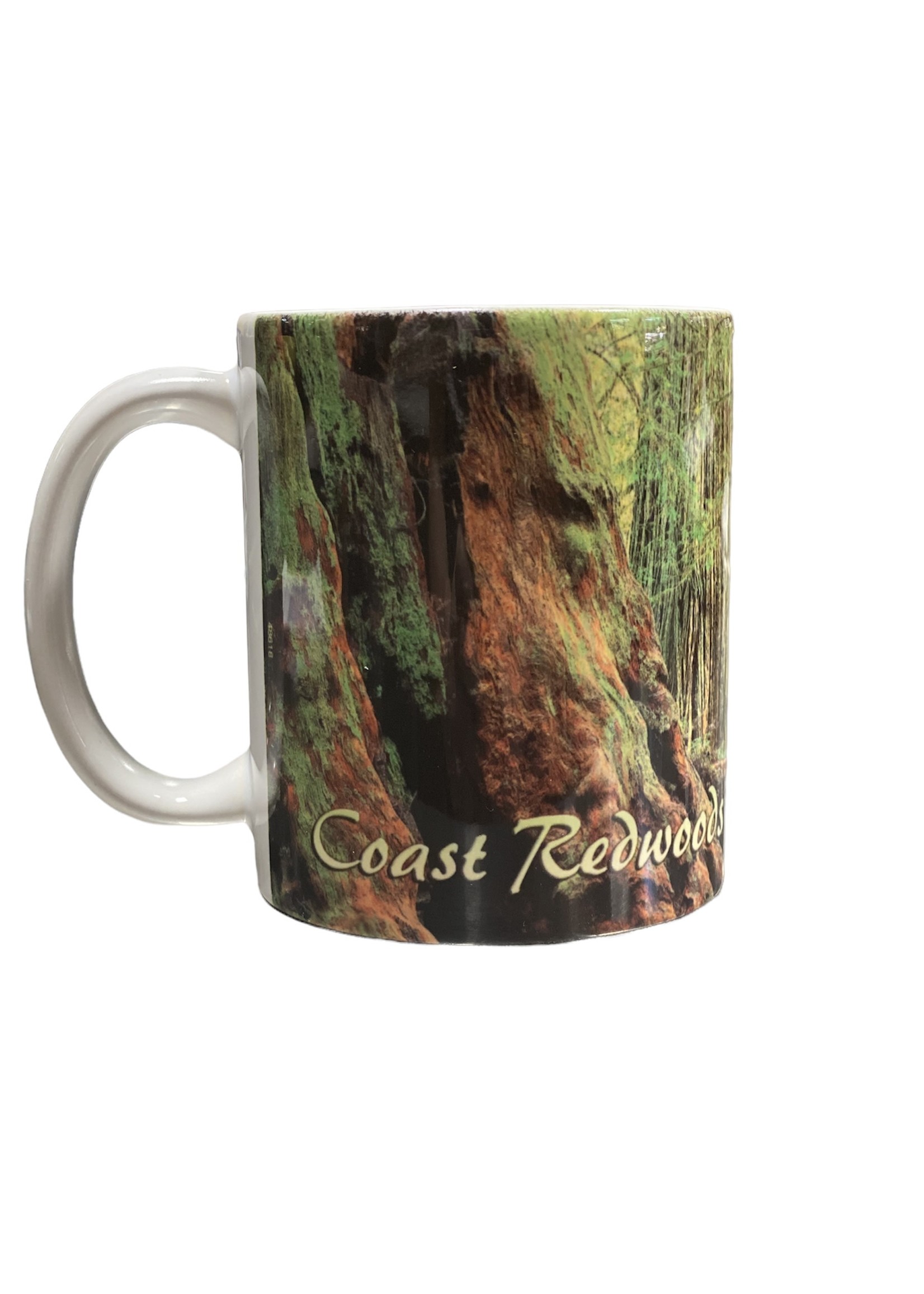 Mug (Coast Redwood Grove)