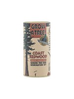 Coast Redwood Grow Kit