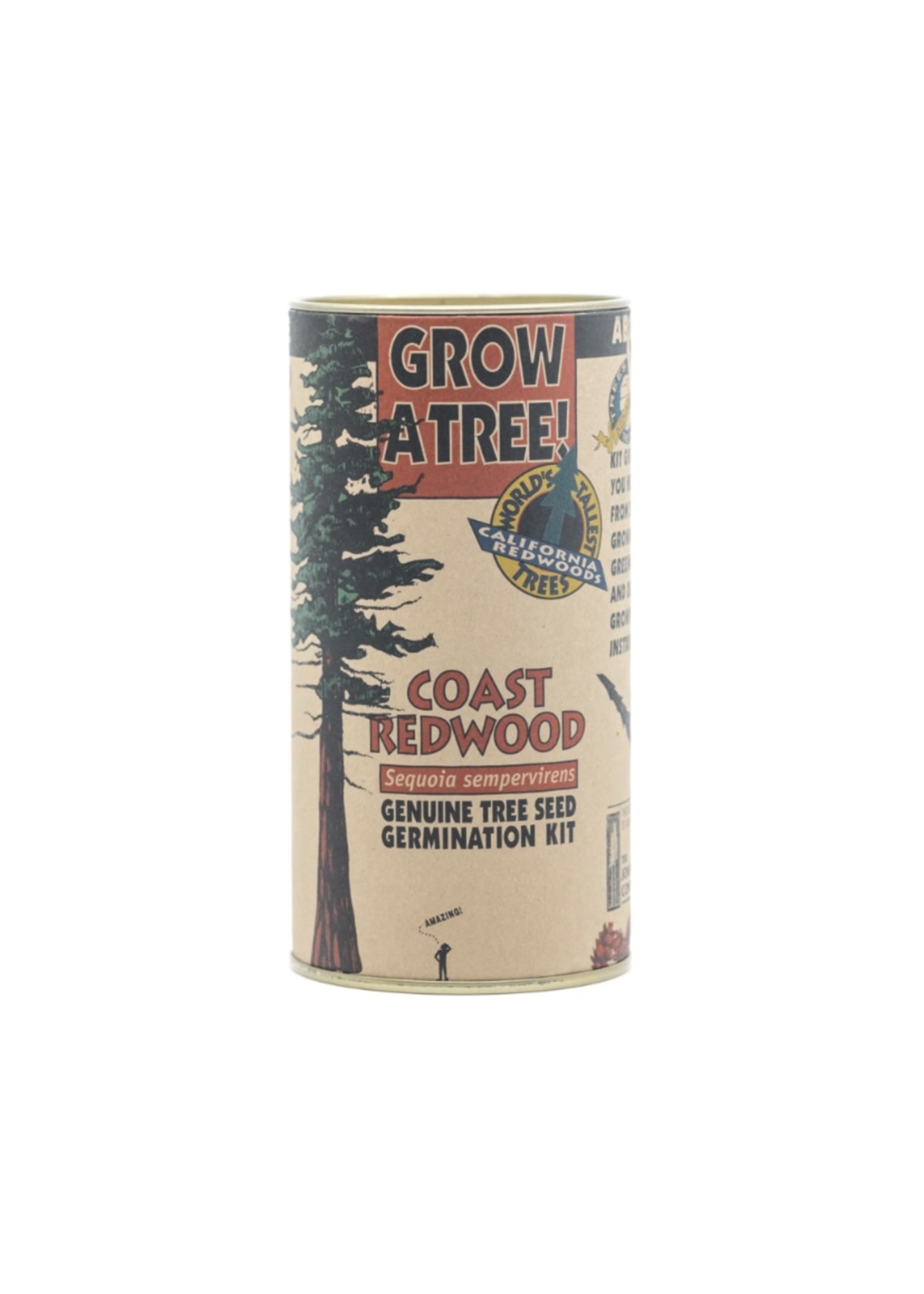 Coast Redwood Grow Kit