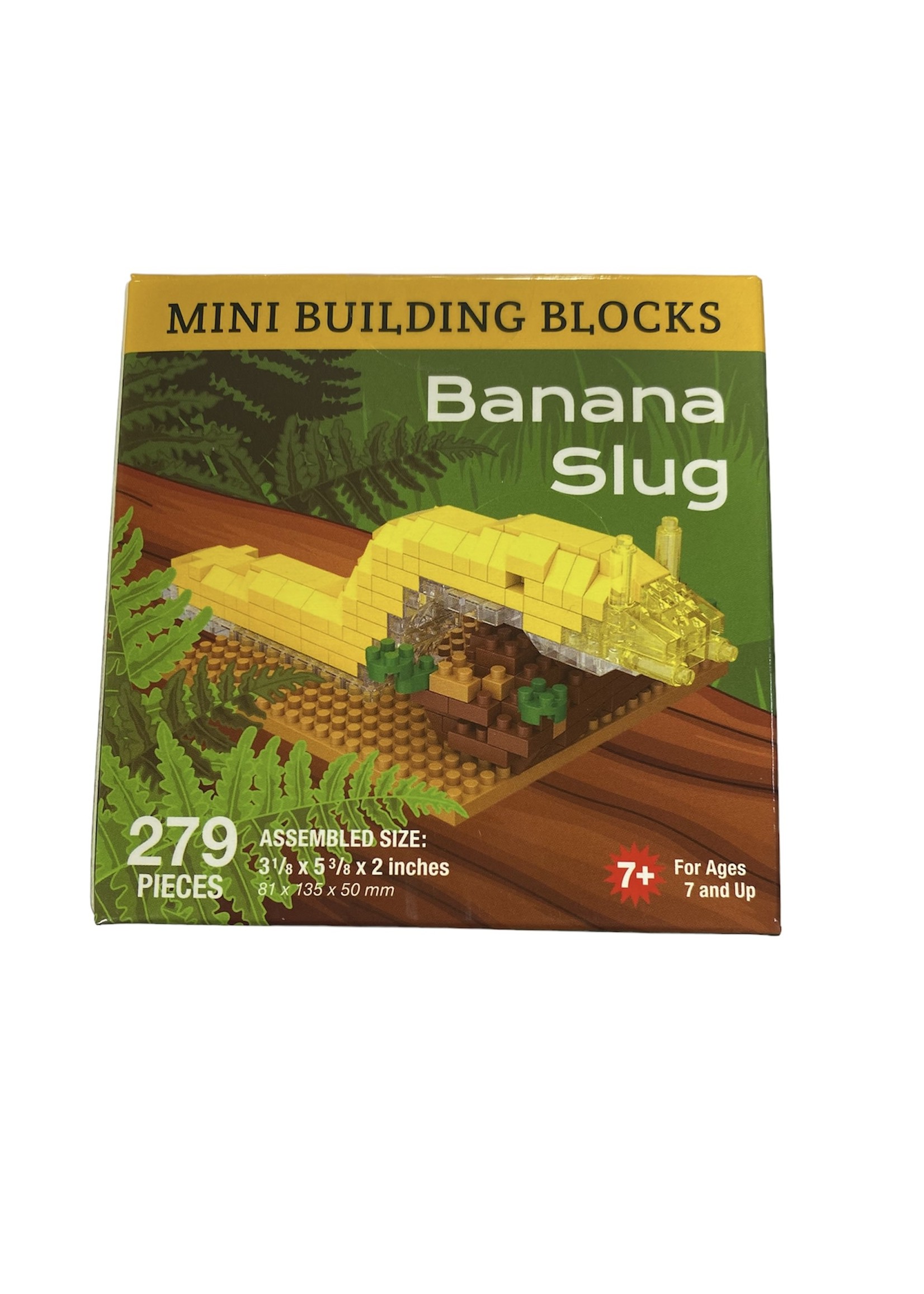 Mini Building Blocks