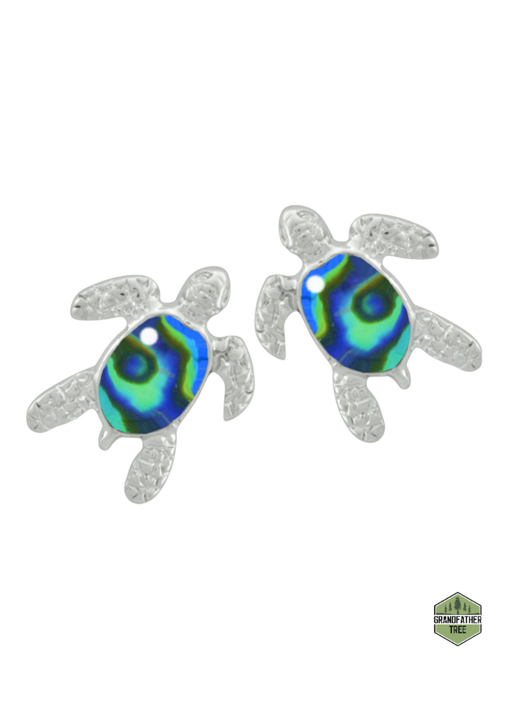 Nature's 1 (Turtle Earrings)