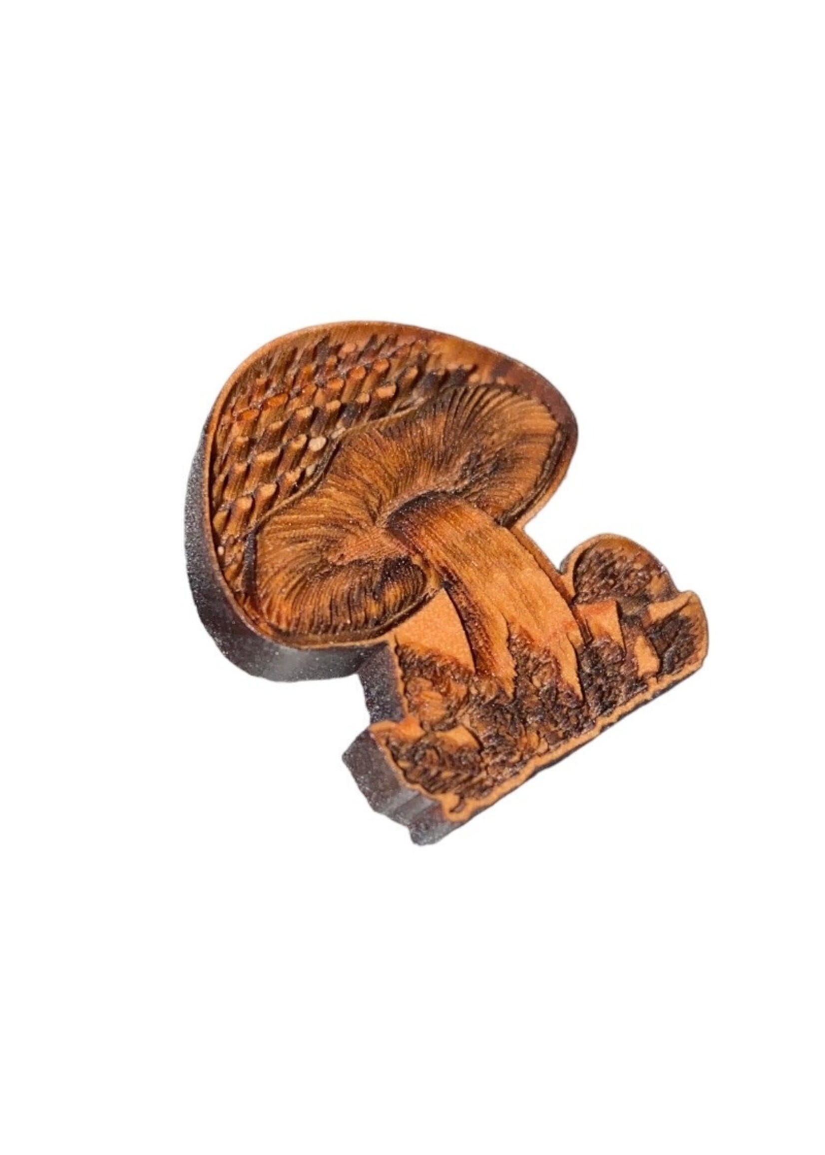 Collectible Pin (Redwood) Mushroom & Ferns