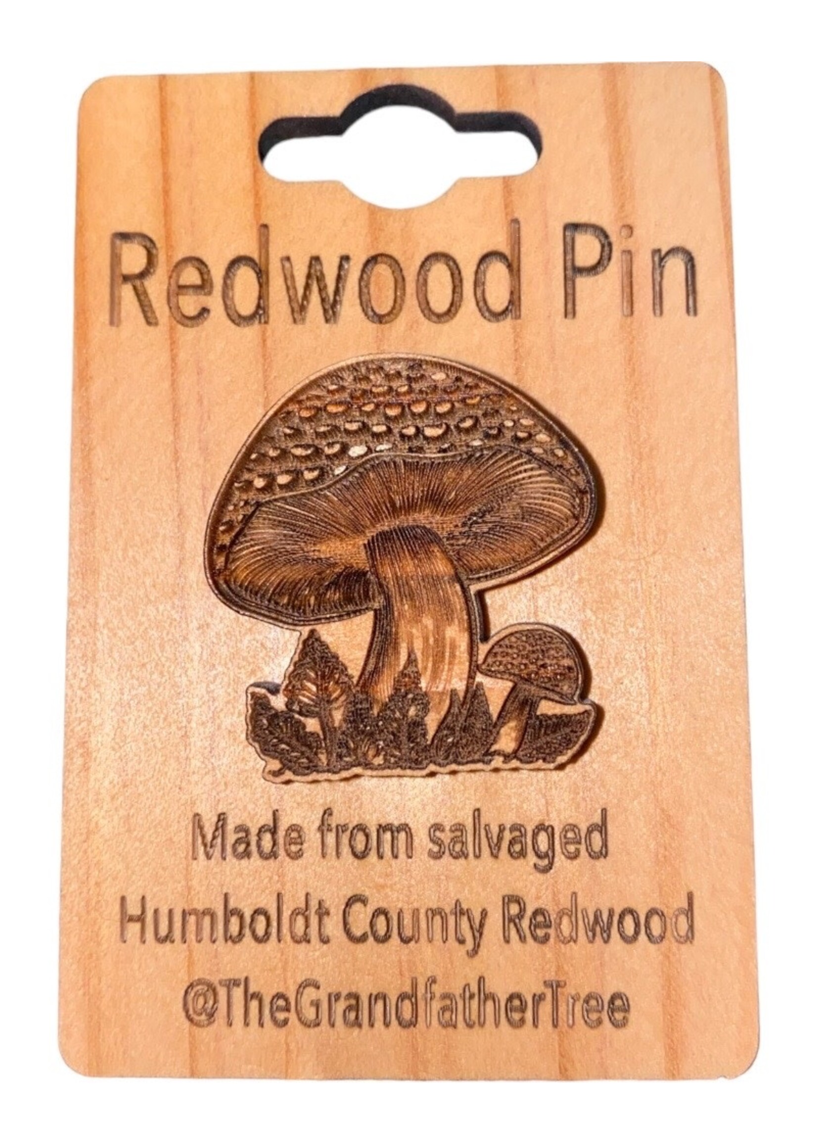 Collectible Pin (Redwood) Mushroom & Ferns