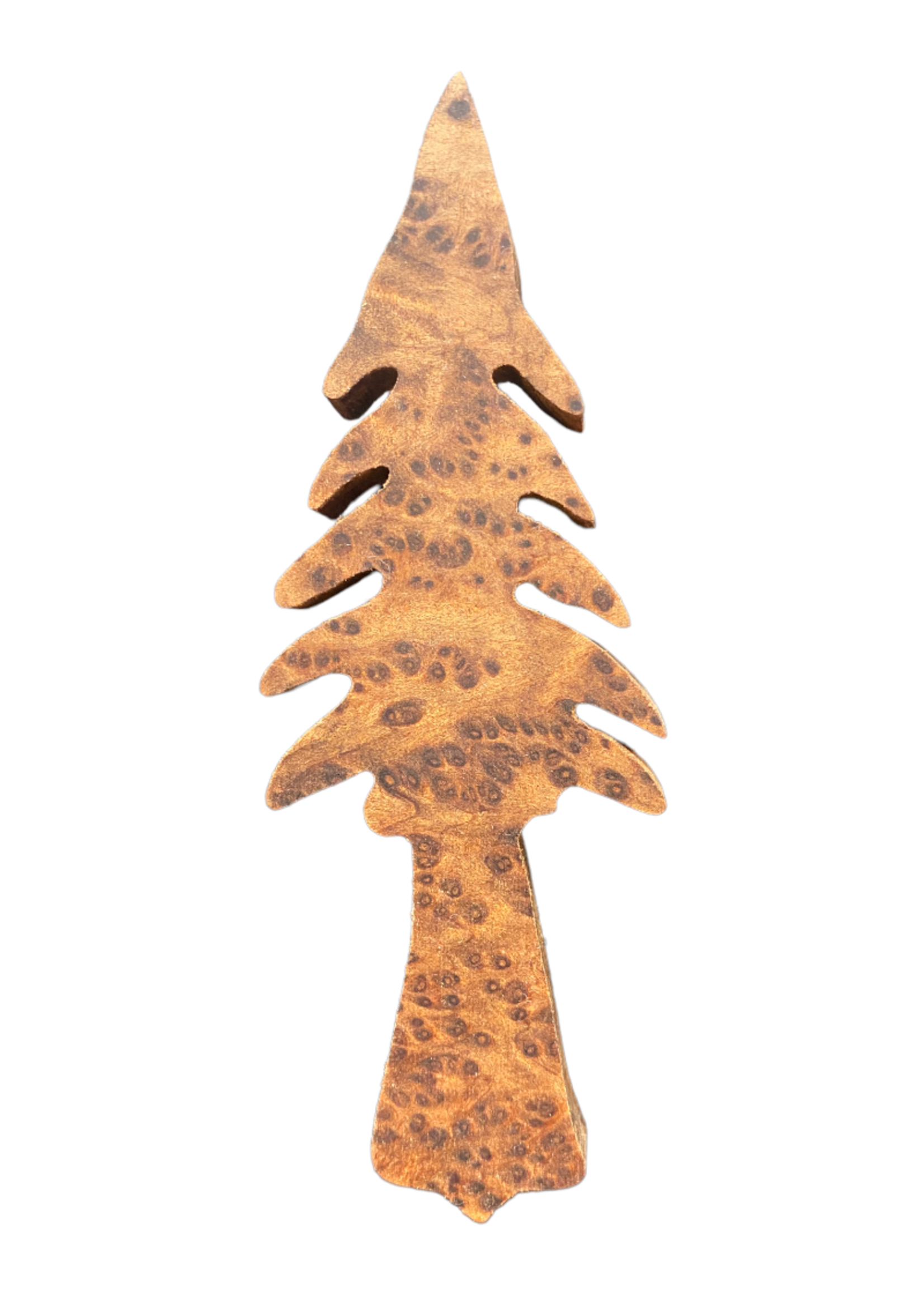 Grandfather Tree Magnet (Redwood Tree - Burl)