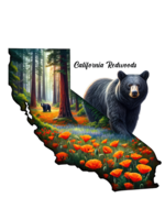 Sticker (CA State Bear & Poppies) 2"