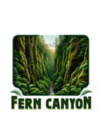 Sticker (Fern Canyon)