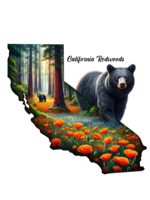 Sticker (CA State Bear & Poppies)
