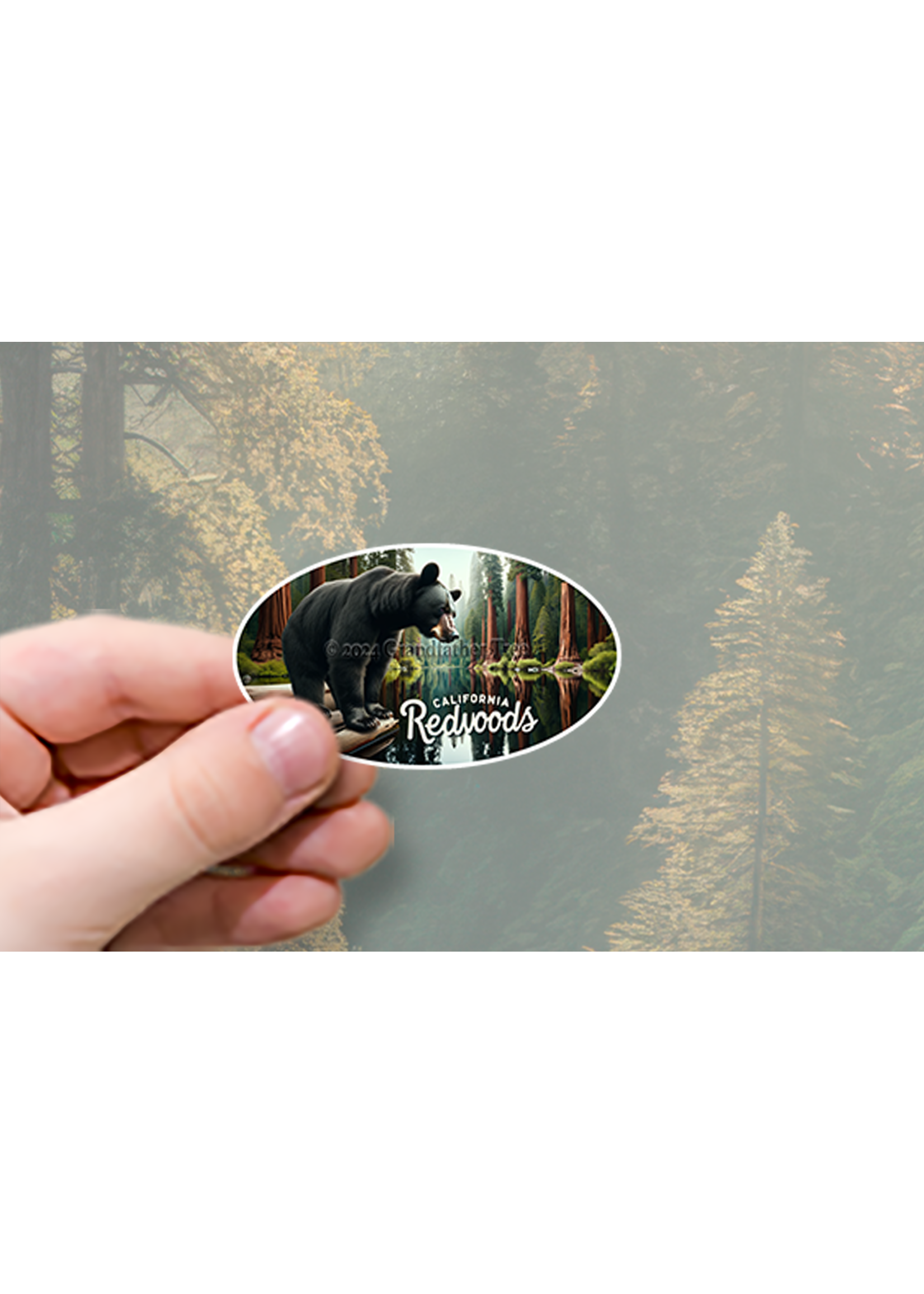 Sticker (CR Bear at River) 4"