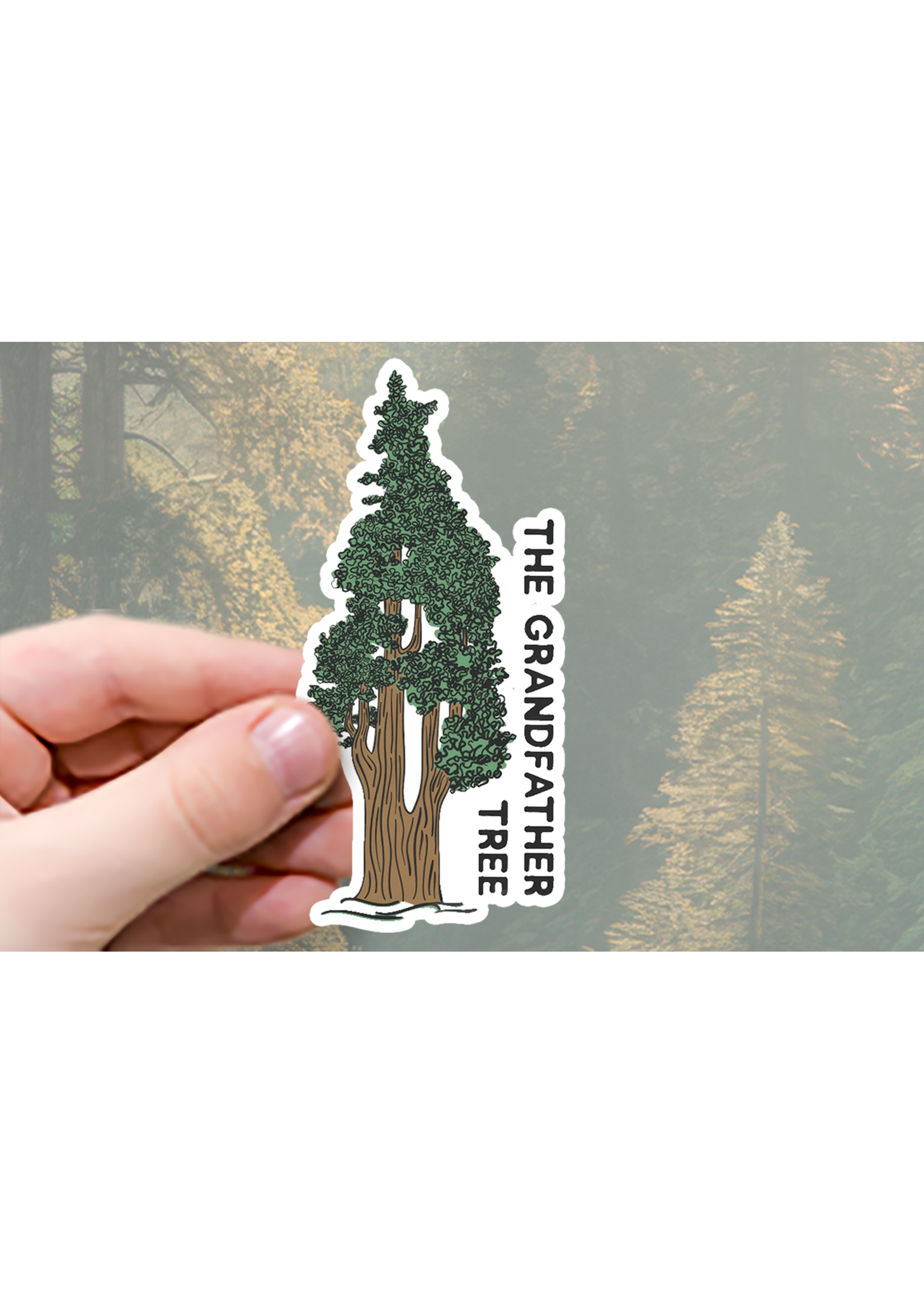 Sticker (Grandfather Tree - Line Art)
