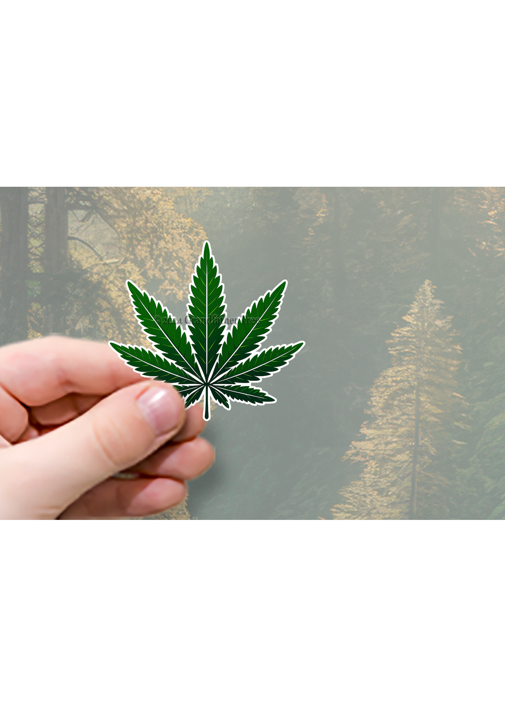 Sticker (Hemp Leaf)