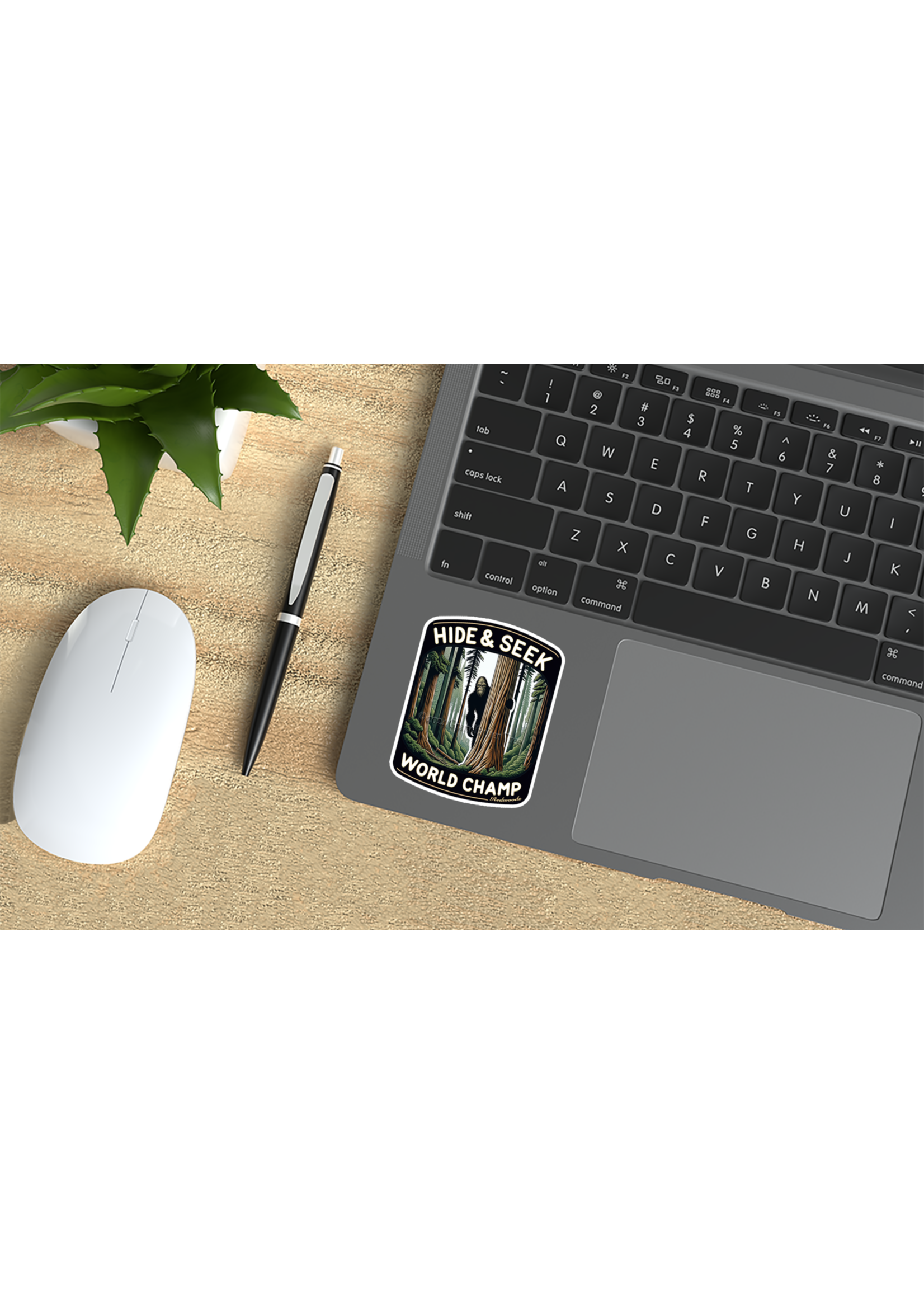 Sticker (Hide & Seek Champ) 3"