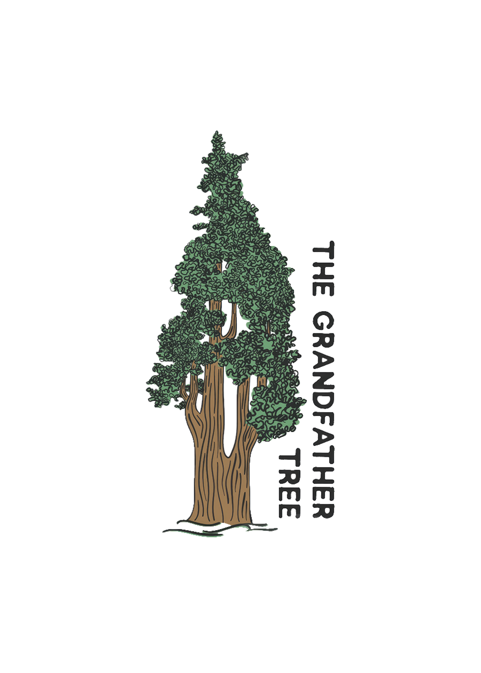 Sticker (Grandfather Tree - Line Art)